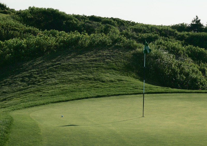 A ball resting on a green below a grassy dune