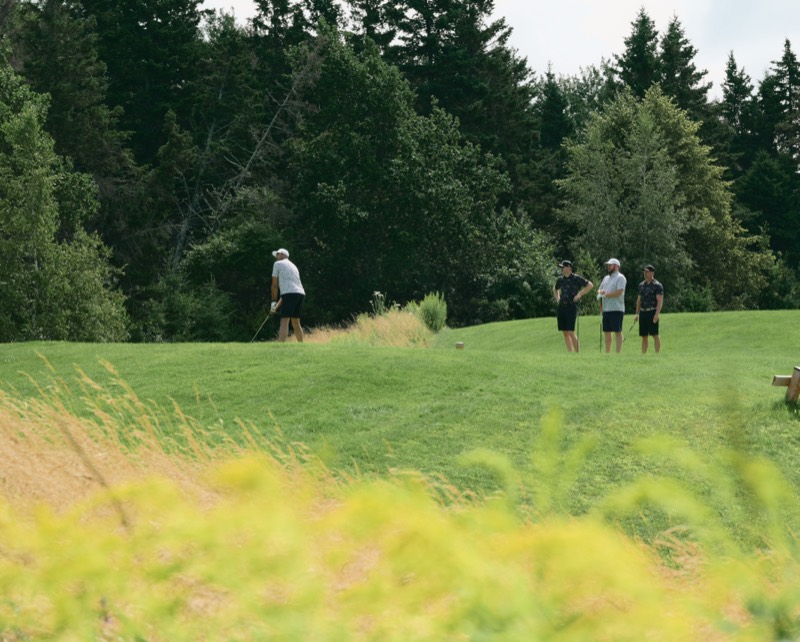 Players gathered on a distant tee framed by tall grass