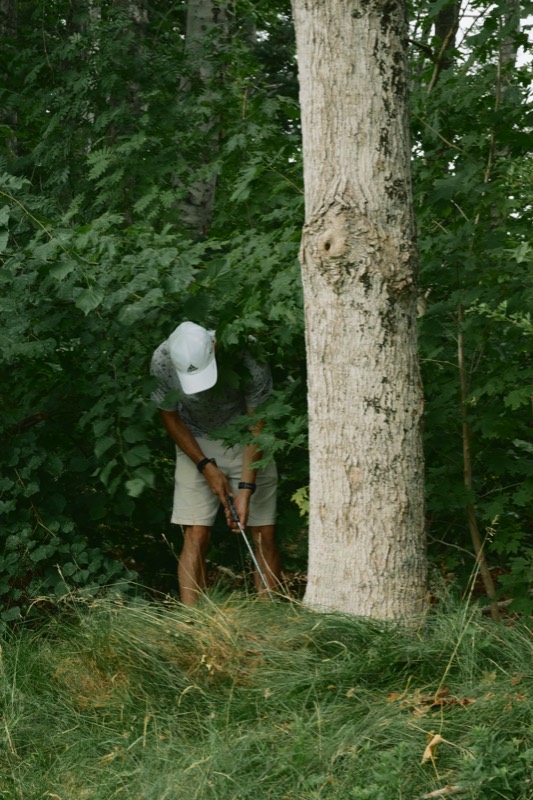 A player playing a recovery shot from beside a tree